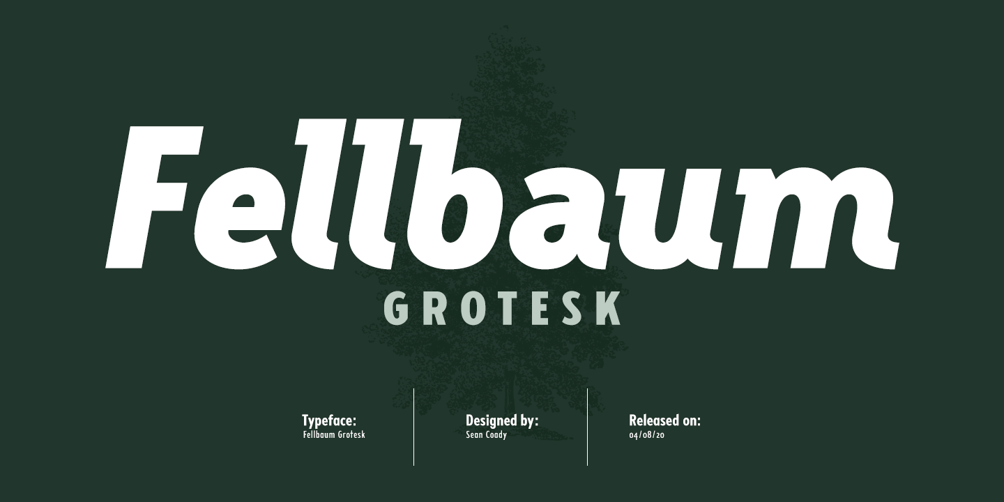 Fellbaum Grotesk Font preview